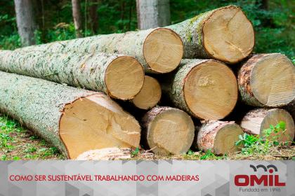 Como ser sustentável trabalhando com madeiras